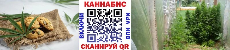 Купить где  Волоколамск  Cannafood конопля 