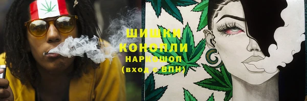 гидра Алексеевка