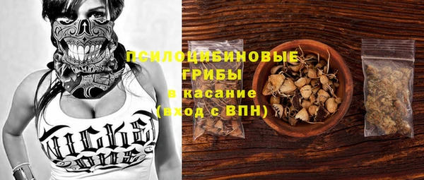 амф Алексин