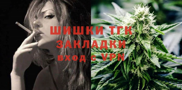гидра Алексеевка
