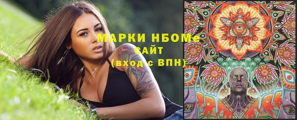 амф Алексин