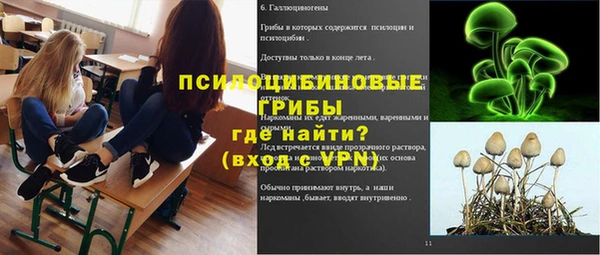 гидра Алексеевка