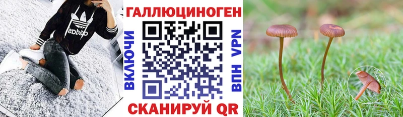 Купить закладки  Волоколамск  Псилоцибиновые грибы Cubensis 